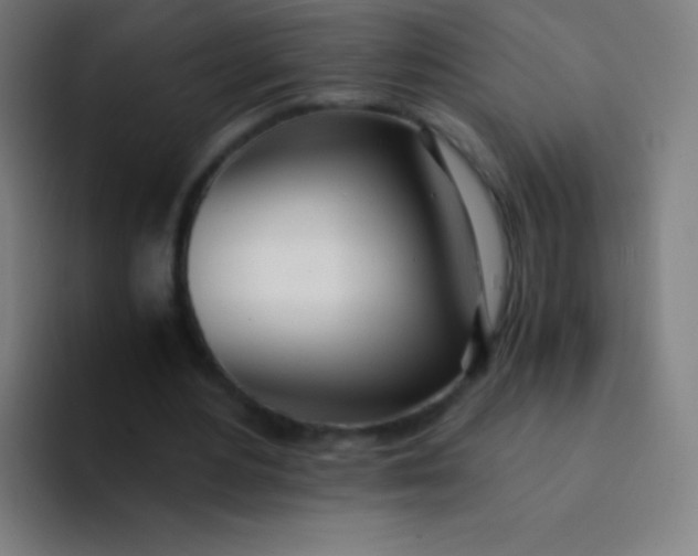 X0000094320484200711161933