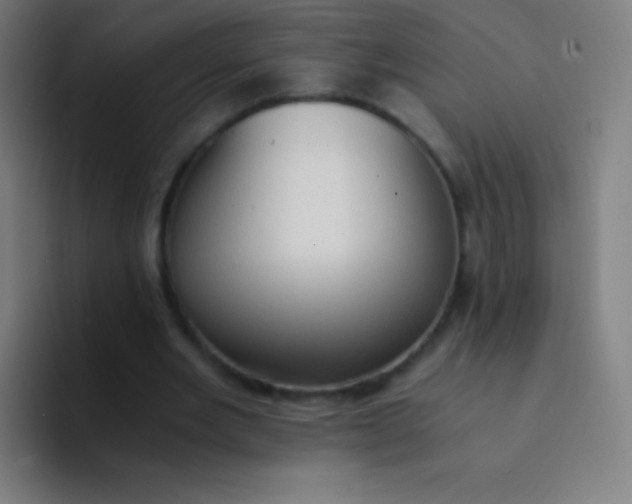 X0000094320485200711161933