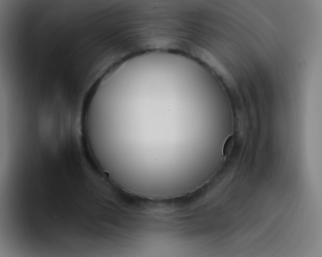 X0000094320486200711161933