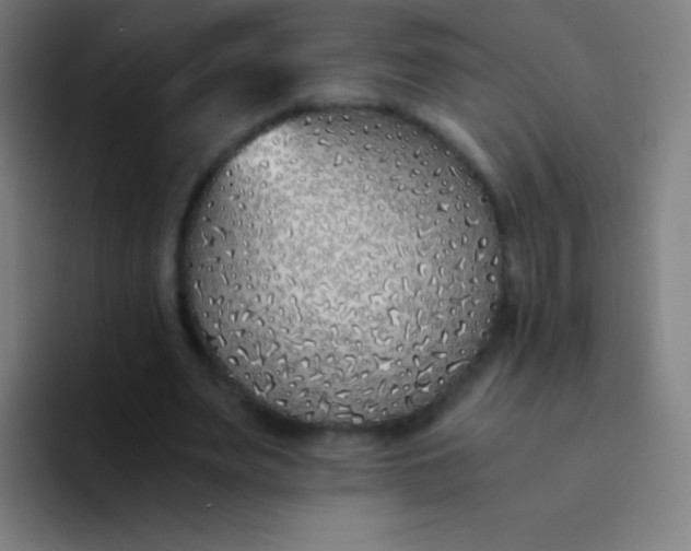 X0000094320487200711161933