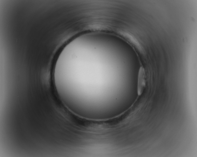 X0000094320488200711161933