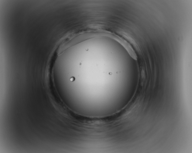 X0000094320492200711161933