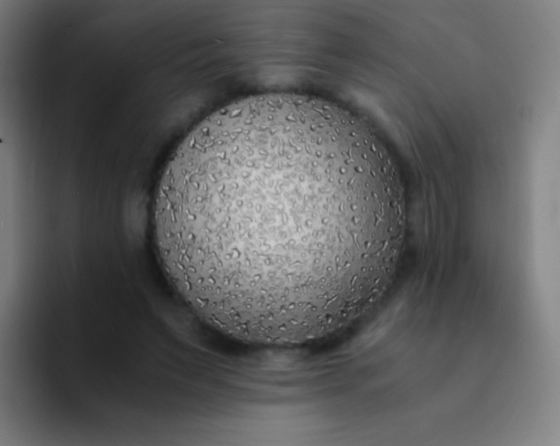 X0000094320495200711161932