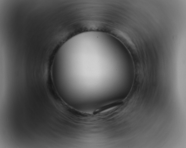 X0000094320496200711161932