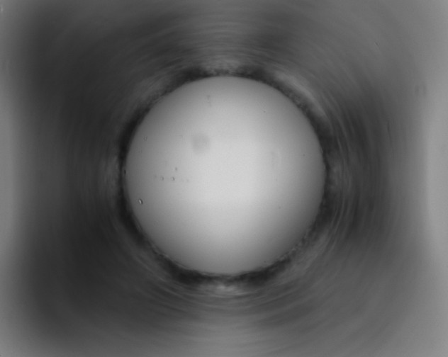 X0000094320498200711161932