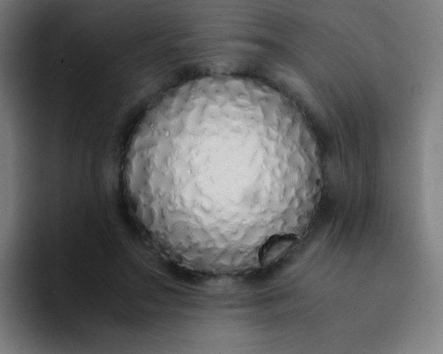 X0000094320499200711161932
