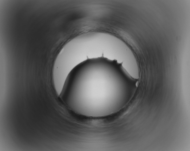 X0000094320501200711161932