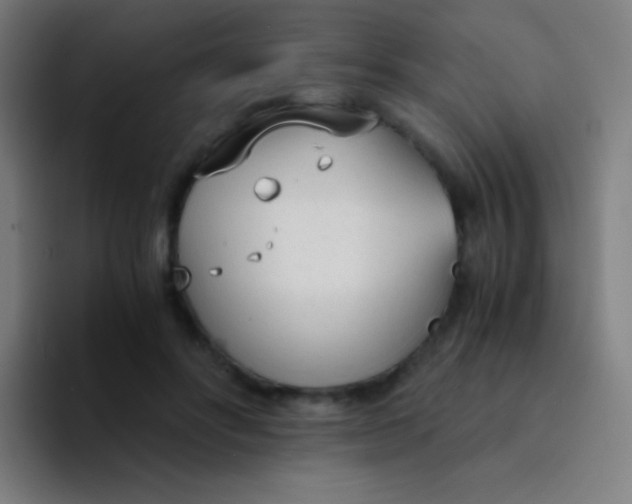 X0000094320502200711161932