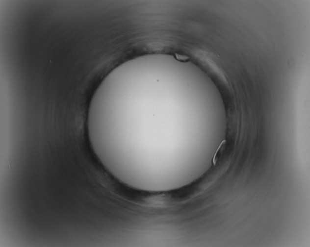 X0000094320505200711161932
