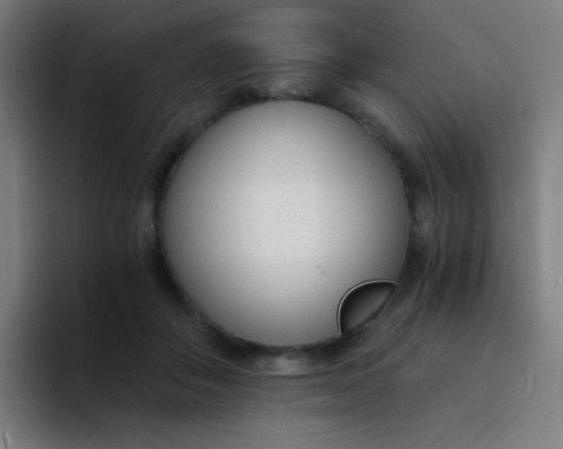 X0000094320506200711161932