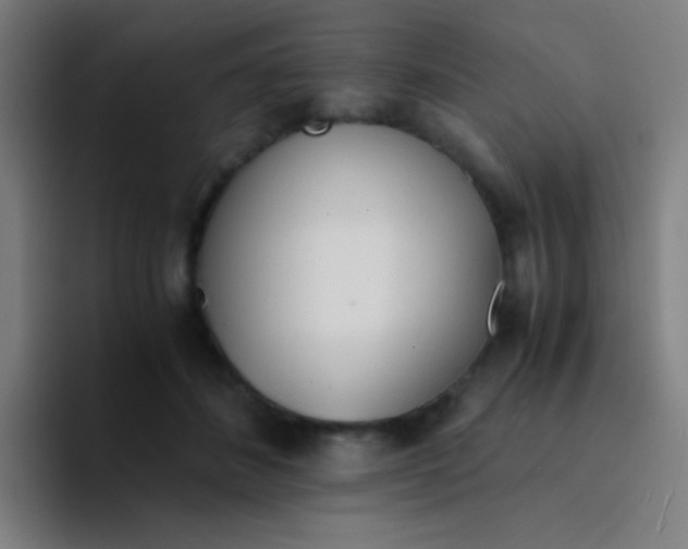 X0000094320508200711161932