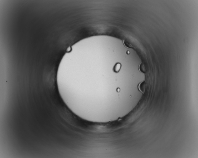 X0000094320509200711161932