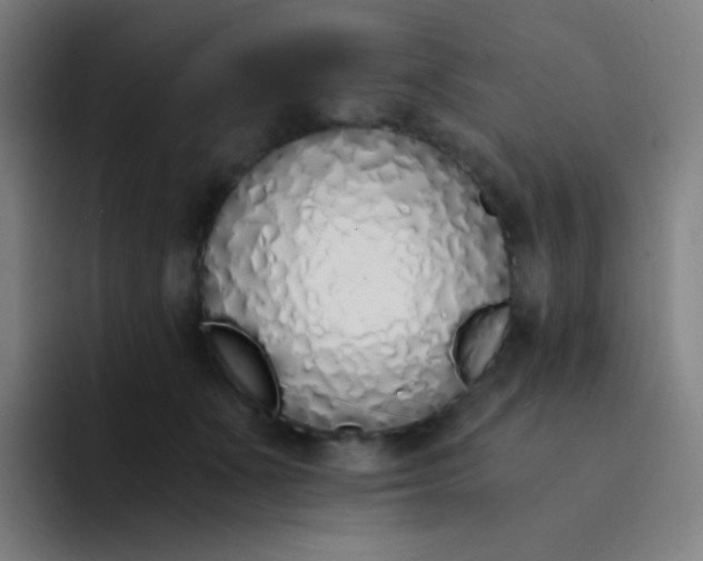X0000094320511200711161932