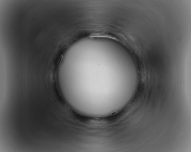 X0000094320515200711161932