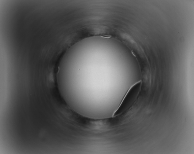 X0000094320516200711161932
