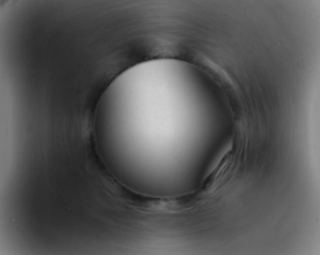 X0000094320517200711161932