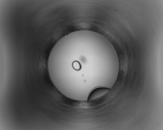 X0000094320518200711161932
