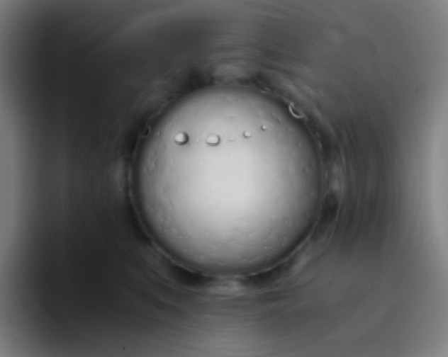 X0000094320519200711161932