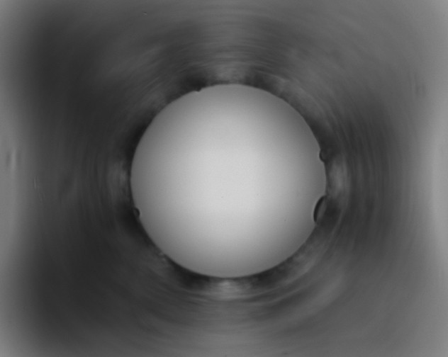 X0000094320522200711161932