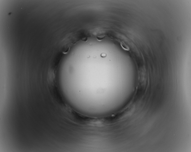 X0000094320523200711161932