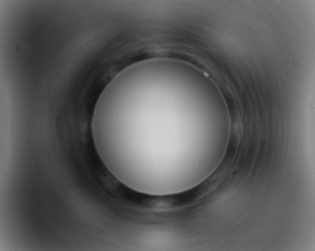 X0000094320525200711161932