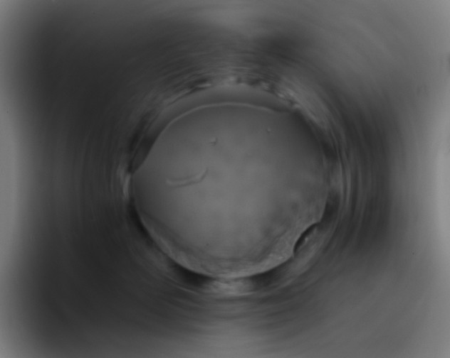 X0000094320526200711161932
