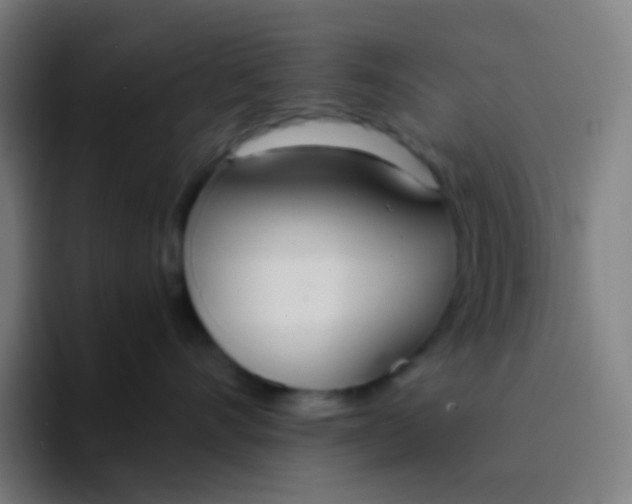 X0000094320528200711161932