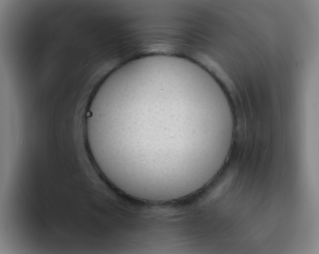 X0000094320529200711161931