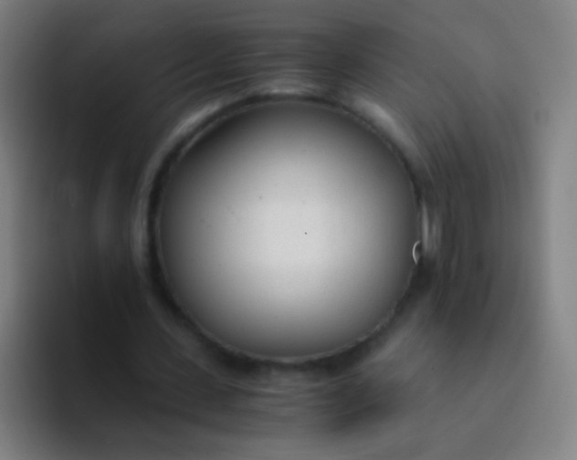 X0000094320531200711161931
