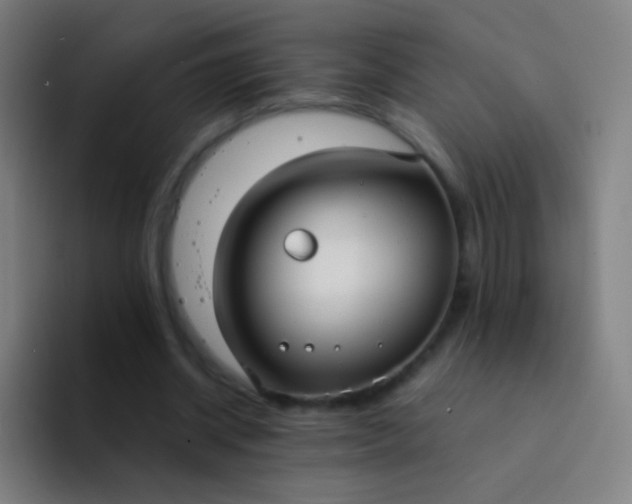 X0000094320534200711161931