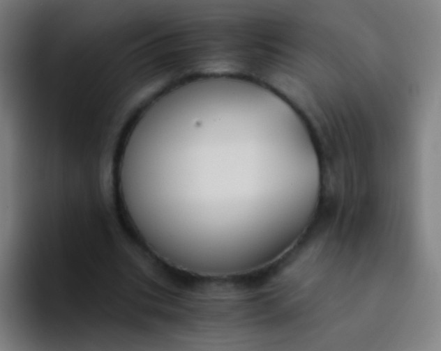 X0000094320535200711161931