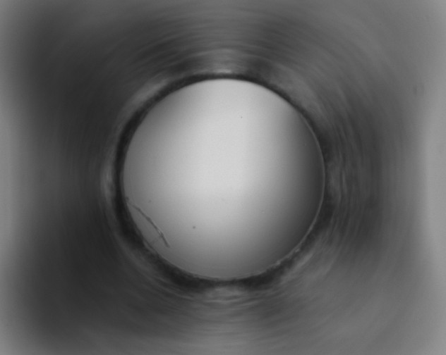 X0000094320536200711161932