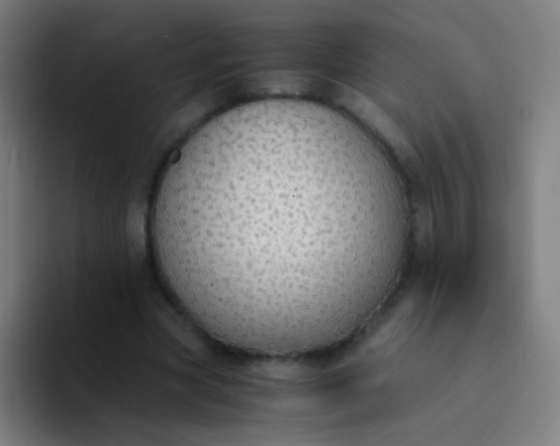 X0000094320537200711161932