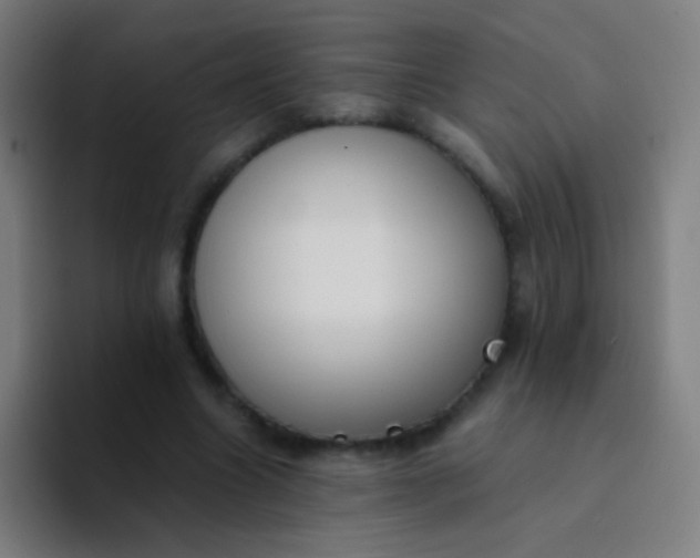 X0000094320538200711161932