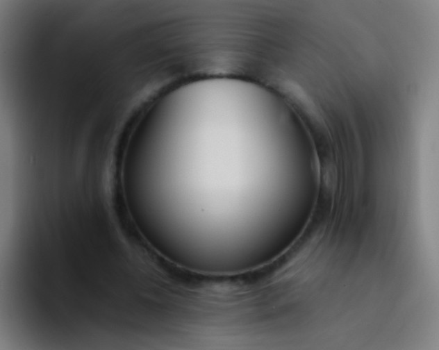 X0000094320540200711161932