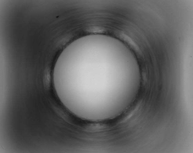 X0000094320541200711161932