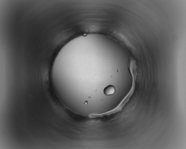 X0000094320543200711161932