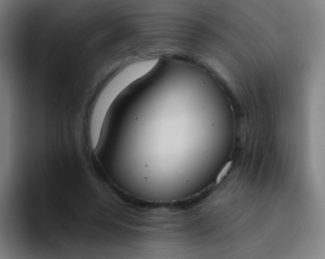 X0000094320544200711161932