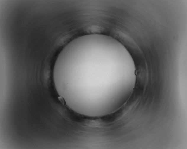 X0000094320548200711161932