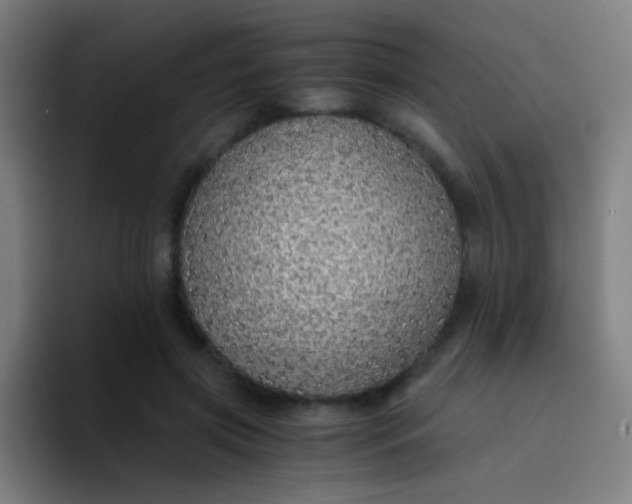X0000094320549200711161932