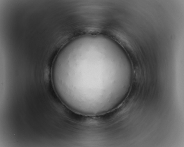 X0000094320550200711161932