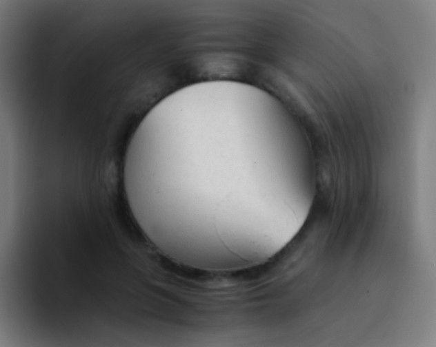 X0000094320551200711161932