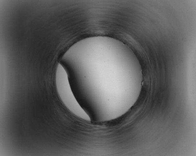 X0000094320552200711161932