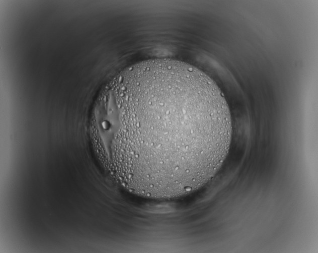 X0000094320553200711161932