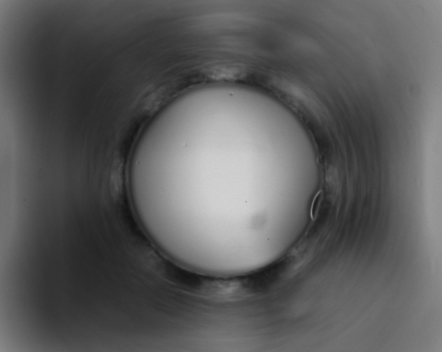 X0000094320554200711161932