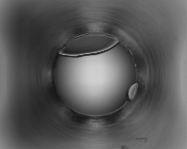 X0000094320556200711161932