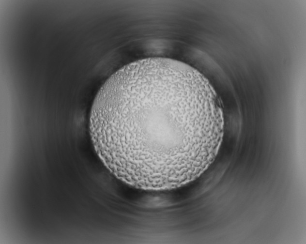 X0000094320557200711161932