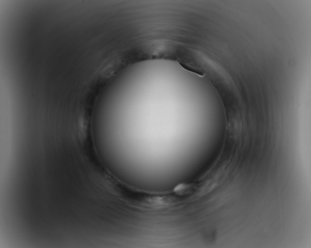 X0000094320558200711161932