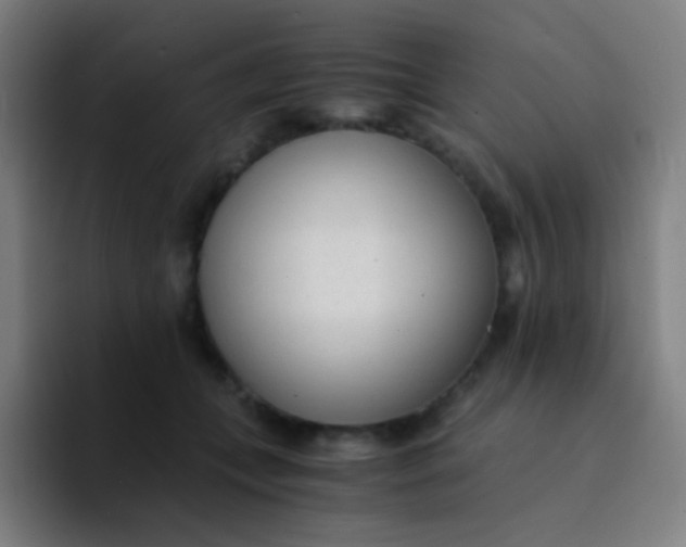 X0000094320559200711161932