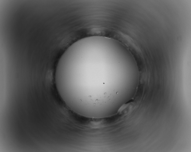 X0000094320560200711161932